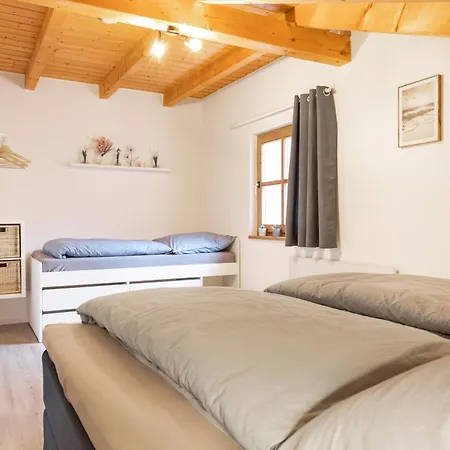 Bayerwaldchalet 2 Regen