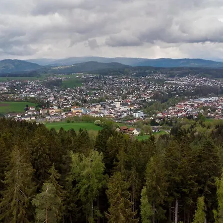 Bayerwaldchalet 2 Nyaraló