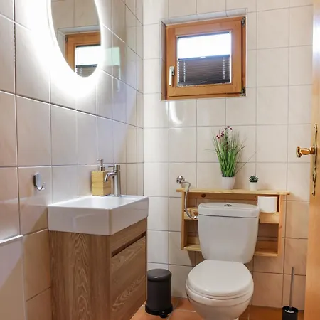 Bayerwaldchalet 2 * Regen